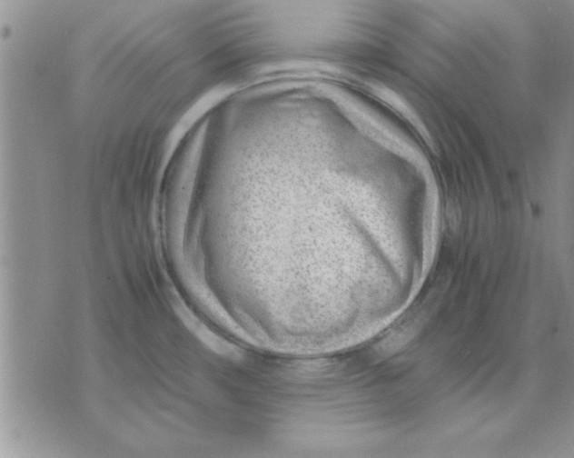 X0000071951482200607281956