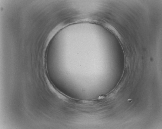 X0000071951483200607281956