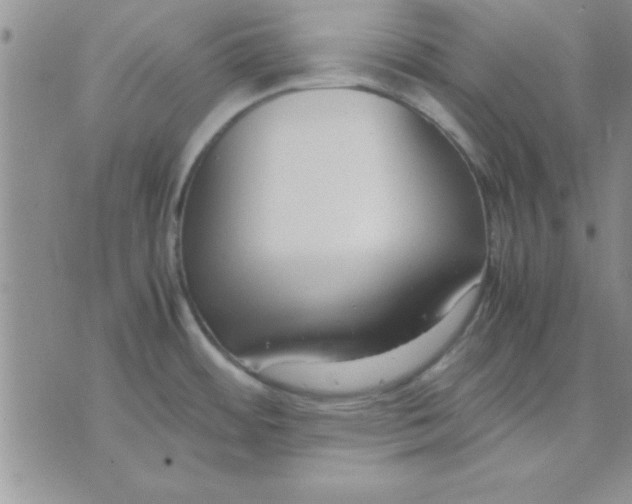 X0000071951484200607281956