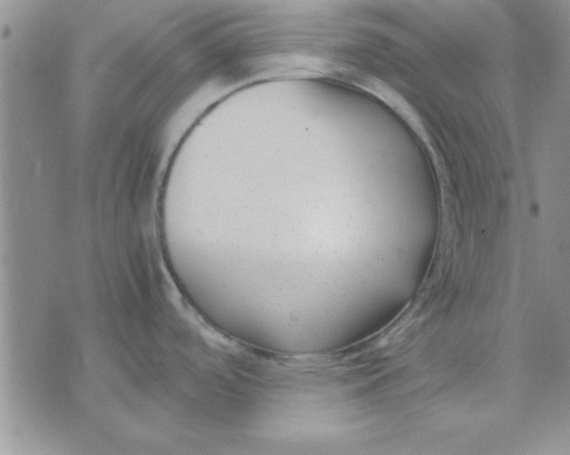 X0000071951488200607281956