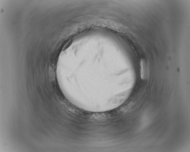 X0000071951491200607281955