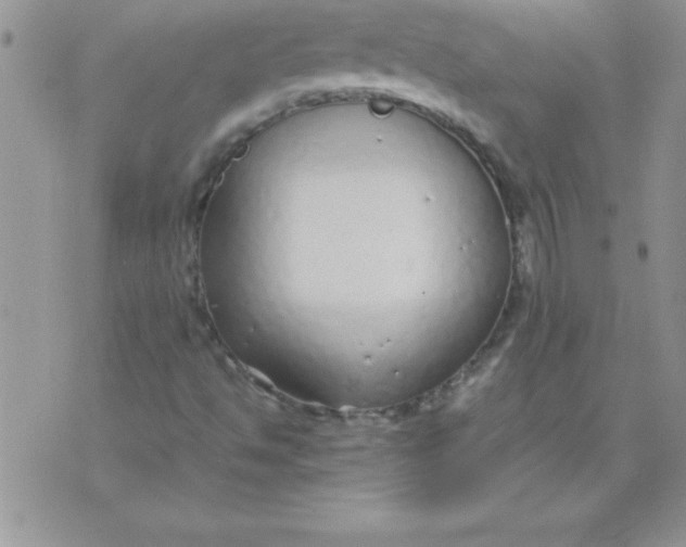 X0000071951494200607281955