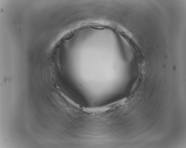 X0000071951496200607281955