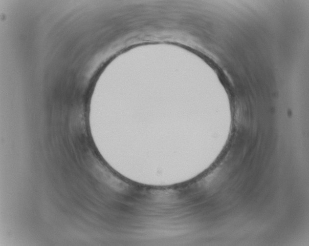 X0000071951498200607281955