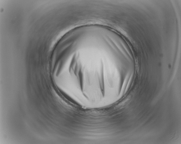 X0000071951500200607281955