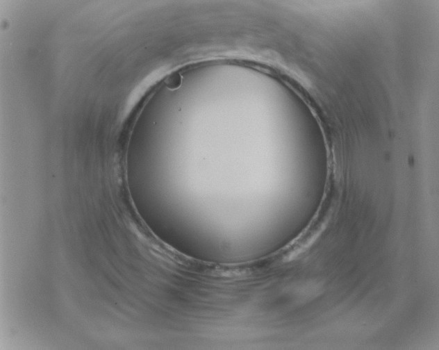 X0000071951501200607281955