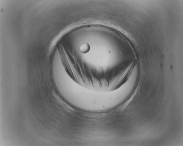 X0000071951502200607281955