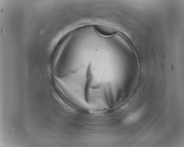 X0000071951503200607281955