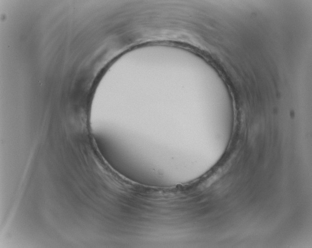 X0000071951505200607281955