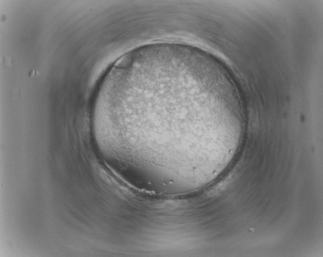 X0000071951506200607281955