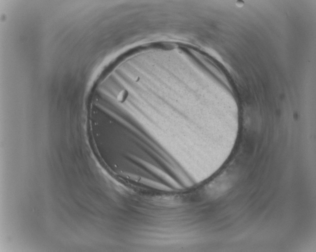 X0000071951508200607281955