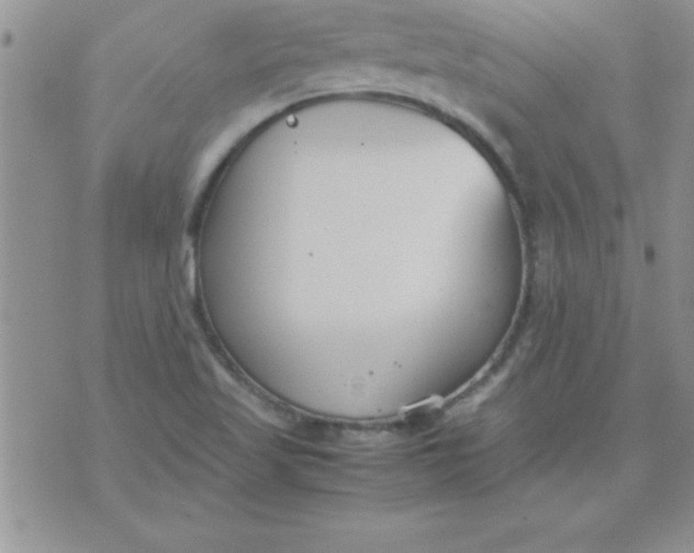 X0000071951509200607281955