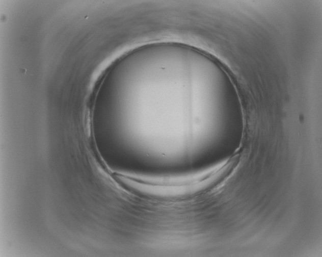 X0000071951510200607281955