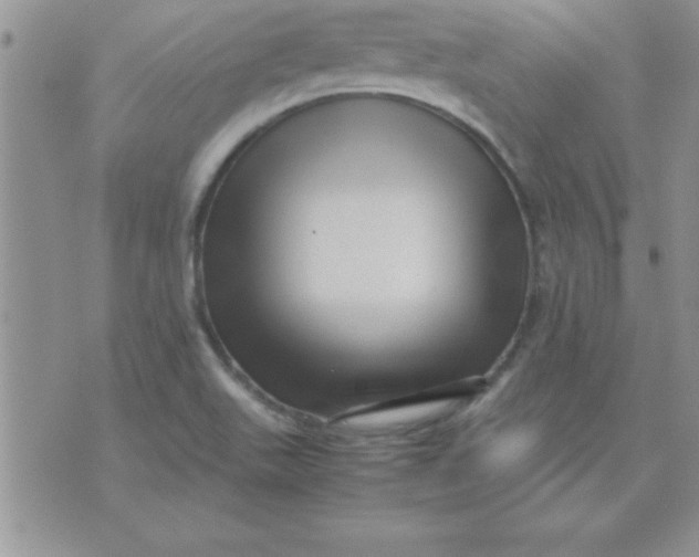 X0000071951511200607281955