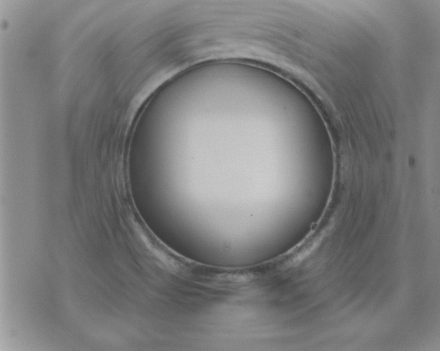 X0000071951513200607281955