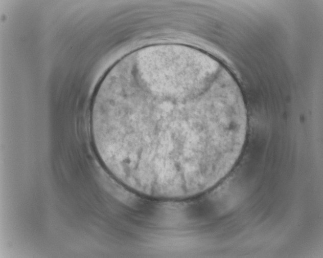 X0000071951514200607281955