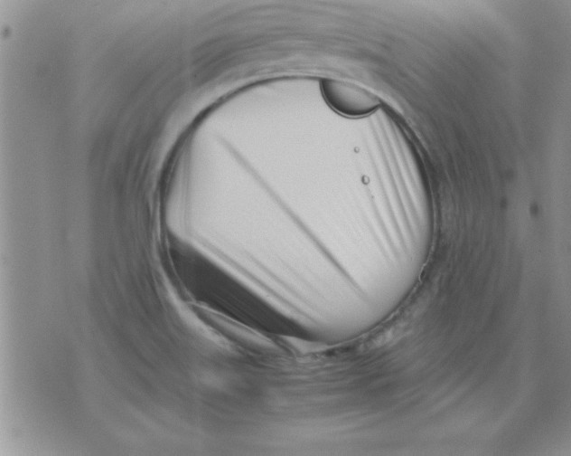 X0000071951515200607281955