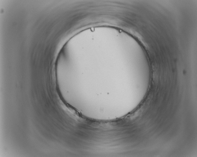 X0000071951516200607281955