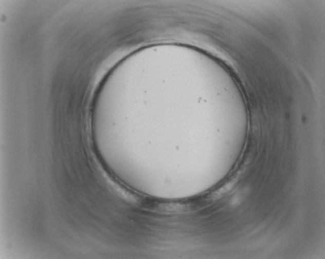 X0000071951517200607281955