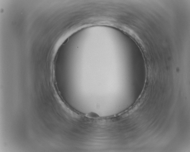 X0000071951520200607281955