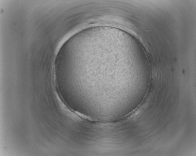 X0000071951522200607281955