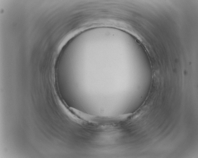 X0000071951523200607281955