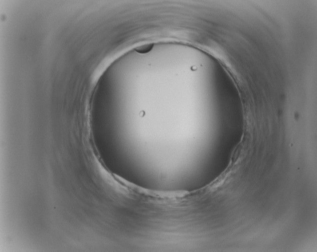 X0000071951524200607281955