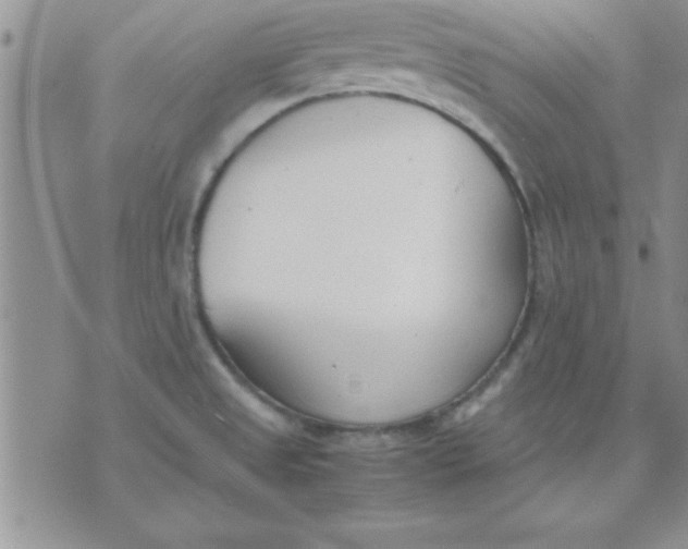 X0000071951525200607281955