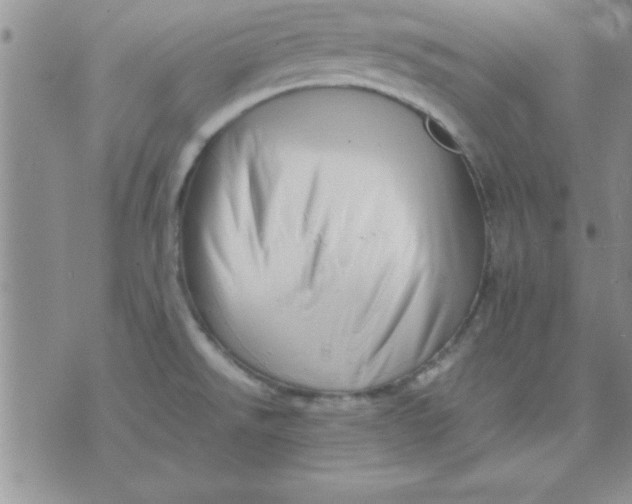 X0000071951526200607281955