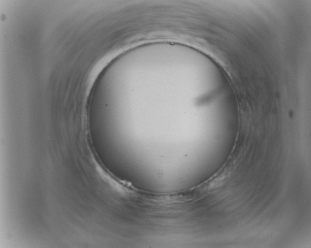 X0000071951527200607281955