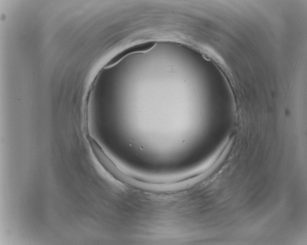 X0000071951528200607281956