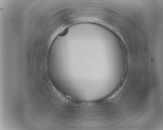 X0000071951529200607281956