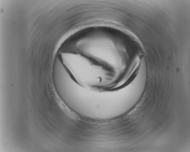 X0000071951530200607281956