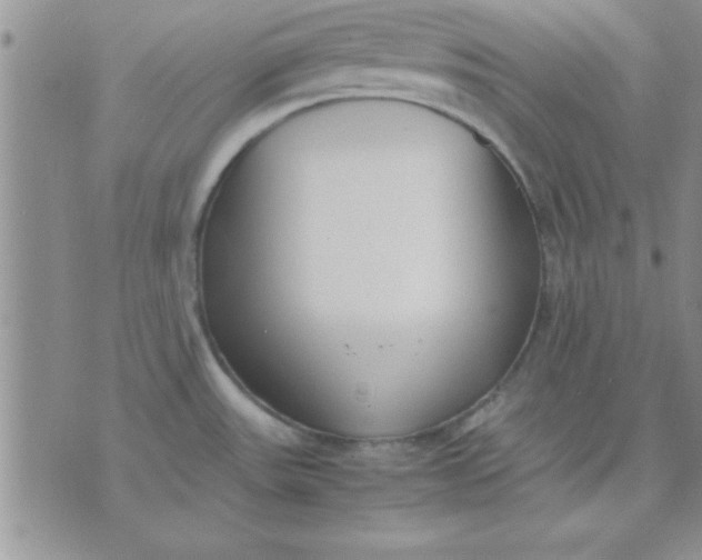 X0000071951531200607281956