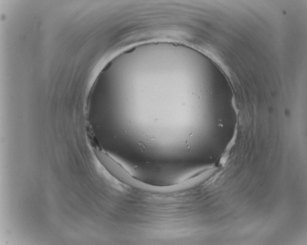 X0000071951532200607281956