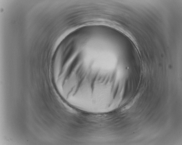 X0000071951533200607281956