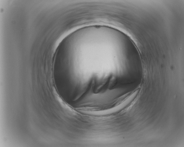 X0000071951534200607281956