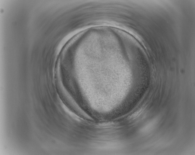 X0000071951535200607281956