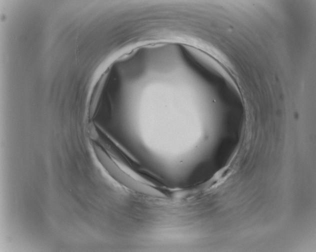 X0000071951536200607281956