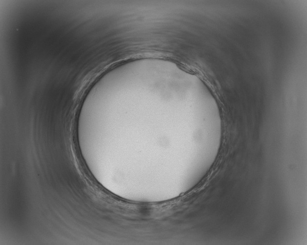 X0000071950001200608041605