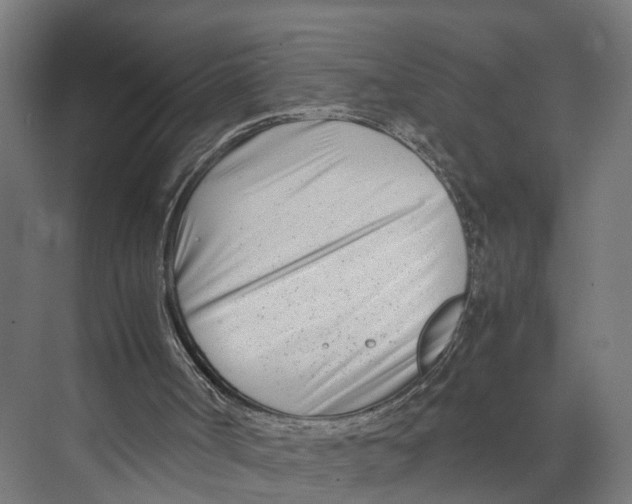 X0000071950002200608041605