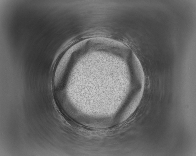 X0000071950004200608041605