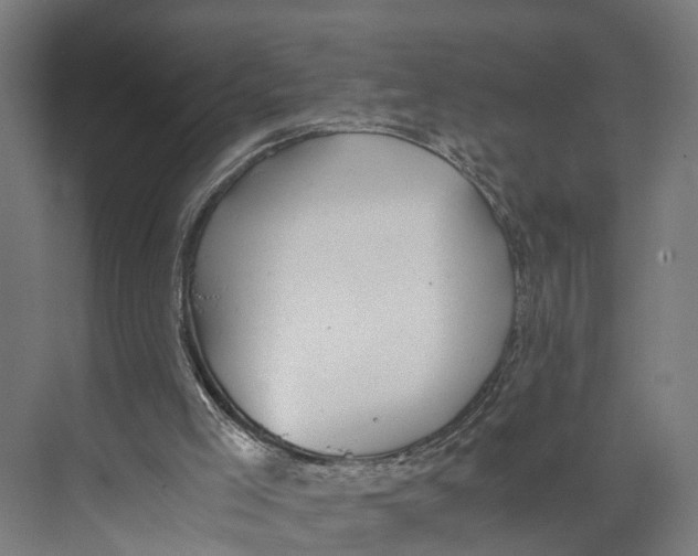 X0000071950005200608041605