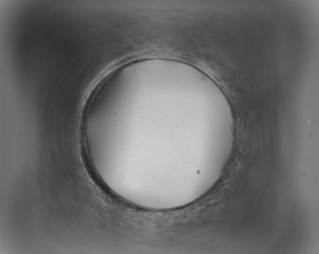 X0000071950007200608041605