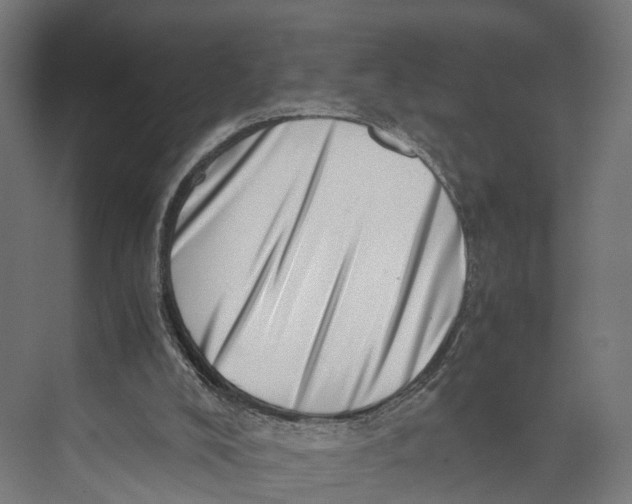 X0000071950008200608041605