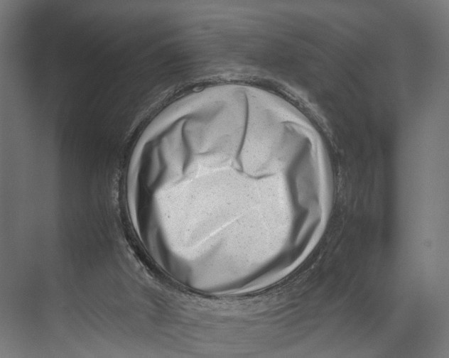 X0000071950010200608041605