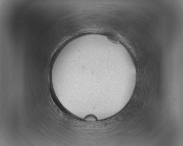 X0000071950011200608041605