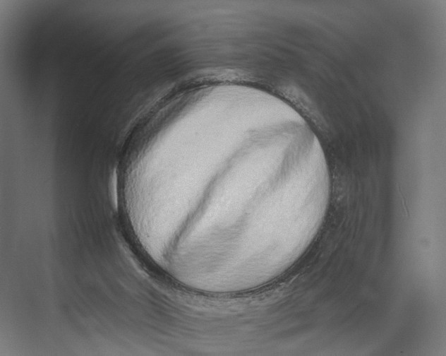 X0000071950014200608041605