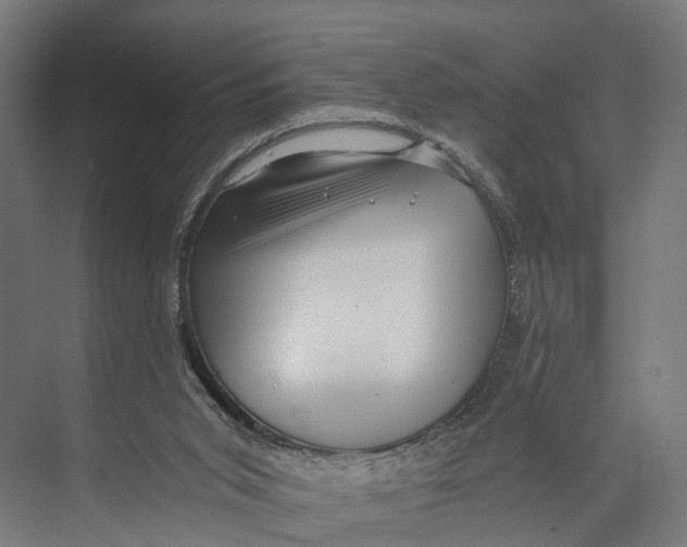 X0000071950015200608041605