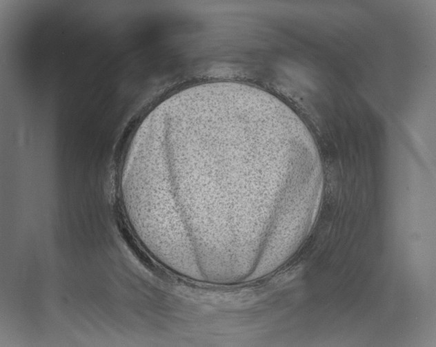 X0000071950016200608041605